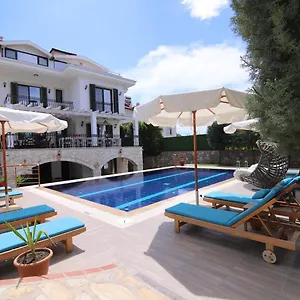 https://villa-tn.turkeyfethiyehotels.com