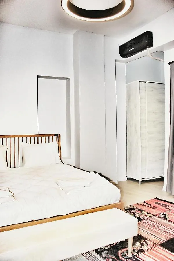 Million Old City Apartment Istanboel