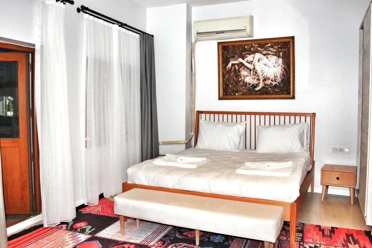 Million Old City Apartment Istanboel
