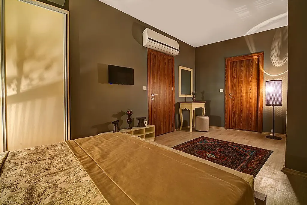 Million Old City Apartment Istanboel