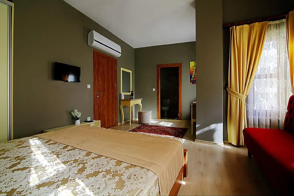 Million Old City Apartment Istanboel